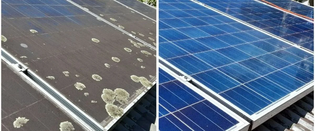 Solar panels covered in lichen and grime before cleaning, and the same panels clean and blue after
